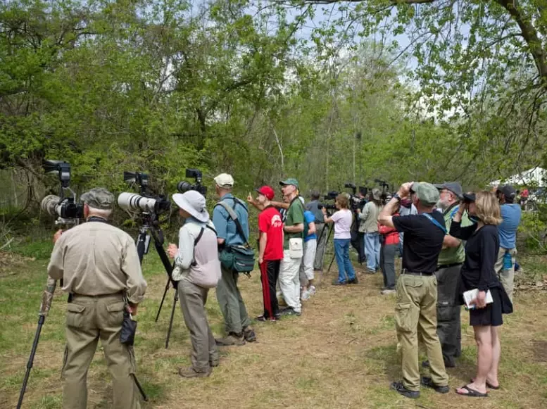 benefits of birdwatching clubs