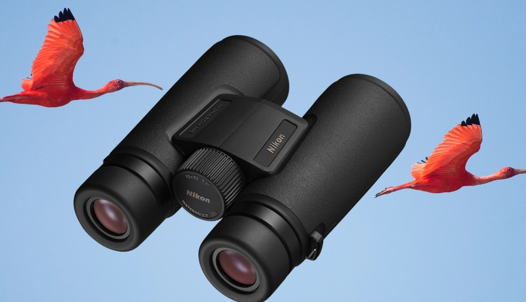 how to choose birding binoculars