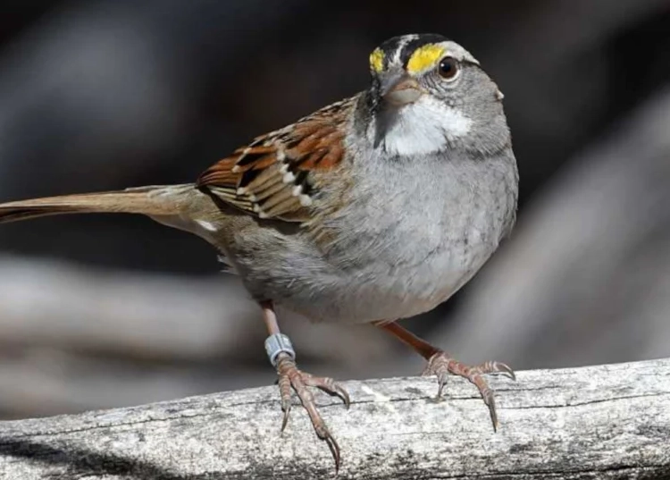 best birding hotspots