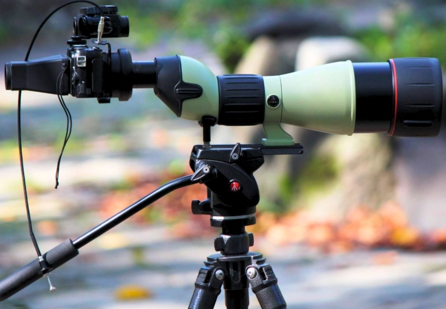 smartphone digiscoping