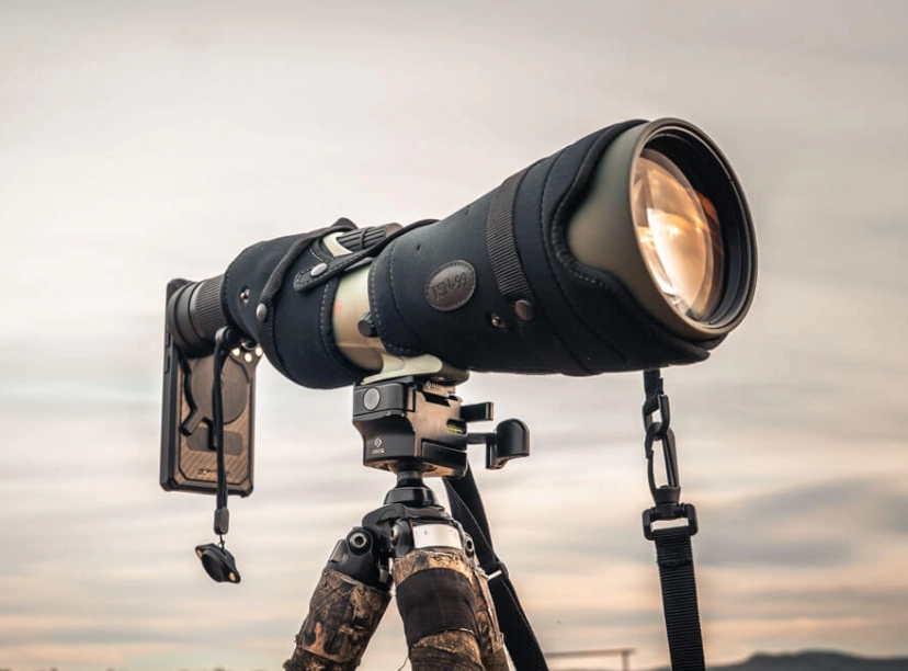 smartphone digiscoping