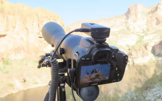 digiscoping for beginners